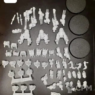 Описание картинки Aquilon Custodians от ССП по цене 1 300руб | Свободный Рынок Миниатюр - СРМ