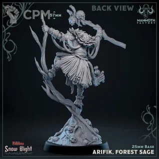 Описание картинки Arifik, Forest Sage Back View от PocketSized Prints по цене 350руб | Свободный Рынок Миниатюр - СРМ