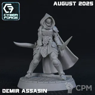 Описание картинки Demir assasin от WebWay 3D по цене 350руб | Свободный Рынок Миниатюр - СРМ