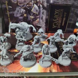 Описание картинки + Corrupted Guard Wretched + Культисты от WastelandMiniatures по цене 910руб | Свободный Рынок Миниатюр - СРМ