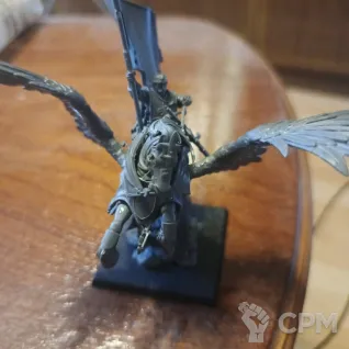 Описание картинки Battle Standard Bearer on Royal Pegasus от dimitrii1995 по цене 4 000руб | Свободный Рынок Миниатюр - СРМ