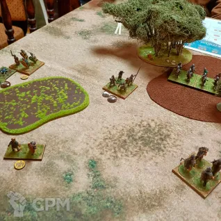 Описание картинки Игровое поле Саванна bm023A 60"х44" от WargamePrint по цене 2 450руб | Свободный Рынок Миниатюр - СРМ