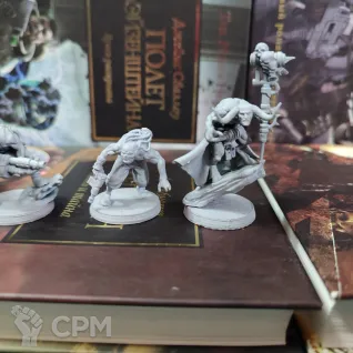 Описание картинки + Corrupted Guard Wretched + Культисты от WastelandMiniatures по цене 910руб | Свободный Рынок Миниатюр - СРМ