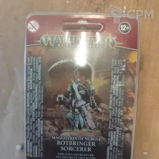 Описание картинки Rotbringer Sorcerer от User19033 по цене 3 200руб | Свободный Рынок Миниатюр - СРМ