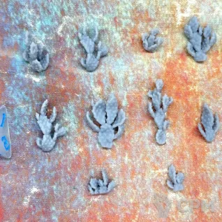 Описание картинки Кактус опунция|Prickly pear cactus от Логово Каракатицы  по цене 245руб | Свободный Рынок Миниатюр - СРМ