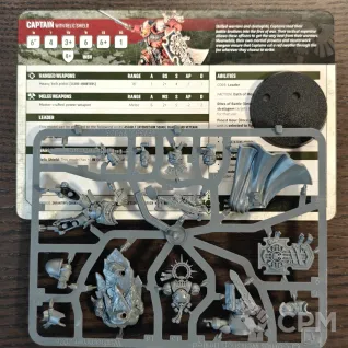 Описание картинки Captain with Relic Shield Armageddon (Оригинал) от Barbara по цене 2 000руб | Свободный Рынок Миниатюр - СРМ