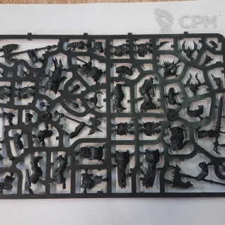 Описание картинки Chaos Chosen AOS от Reviror по цене 1 300руб | Свободный Рынок Миниатюр - СРМ