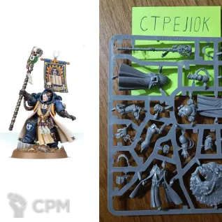 Описание картинки Chief Librarian Tigurius (Оригинал) от CTPEJIOK по цене 3 000руб | Свободный Рынок Миниатюр - СРМ