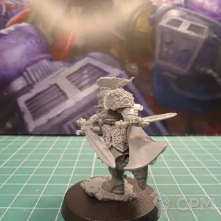 Описание картинки Adeptus Custodes Blade Champion (Shadow Throne) от Студия Лютье по цене 675руб | Свободный Рынок Миниатюр - СРМ