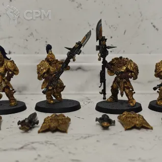 Описание картинки 4 Custodes Custodian (замагничены оружие-кисти-плечи-головы) от Барахолка CTPEJIKA по цене 3 600руб | Свободный Рынок Миниатюр - СРМ