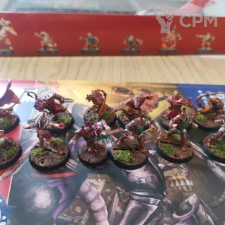 Описание картинки ? Dungeon Bowl — редкое издание во вселенной Blood Bowl ? от Галл по цене 12 000руб | Свободный Рынок Миниатюр - СРМ