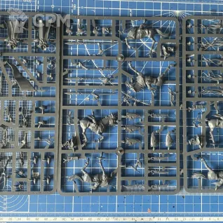 Описание картинки Dark Elves Dark Riders/Doomfire Warlocks от KasRkin_89 по цене 3 500руб | Свободный Рынок Миниатюр - СРМ