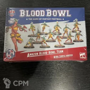 Описание картинки Amazon Team Kara Temple Harpies от zurdo по цене 5 450руб | Свободный Рынок Миниатюр - СРМ