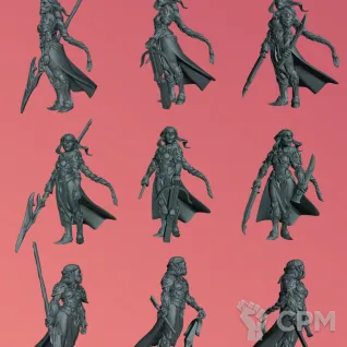 Описание картинки Гитьянки Воины | Githyanki Female Fighter от W1L50n по цене 300руб | Свободный Рынок Миниатюр - СРМ