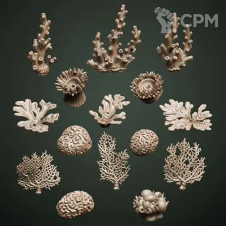 Описание картинки Exotic Coral от Орки с наГорки по цене 250руб | Свободный Рынок Миниатюр - СРМ