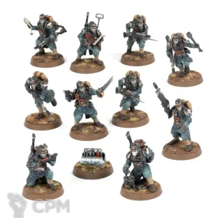 Описание картинки Kill Team - Veteran Guardsmen от Kiryxa по цене 4 500руб | Свободный Рынок Миниатюр - СРМ