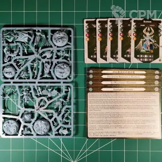 Описание картинки Elathain's Soulraid от Vault Boy по цене 3 498руб | Свободный Рынок Миниатюр - СРМ