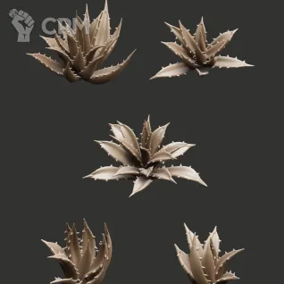 Описание картинки Agave от Орки с наГорки по цене 100руб | Свободный Рынок Миниатюр - СРМ