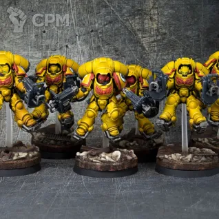 Описание картинки Primaris Inceptors (6) - Imperial fists army от Brushsinger по цене 17 640руб | Свободный Рынок Миниатюр - СРМ