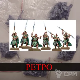 Описание картинки Eternal Guard от White Rhino по цене 499руб | Свободный Рынок Миниатюр - СРМ