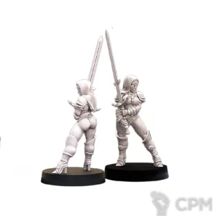 Описание картинки Sisters of Sigmar - Greatsword Pin Up P1 от 3Д печать миниатюр по цене 282руб | Свободный Рынок Миниатюр - СРМ