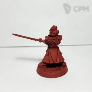 Описание картинки набор Farseer and Warlocks, оригинал файнкаст от Shamkin по цене 2 300руб | Свободный Рынок Миниатюр - СРМ