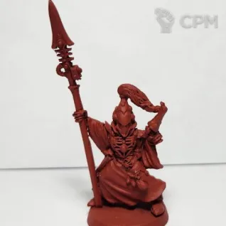 Описание картинки набор Farseer and Warlocks, оригинал файнкаст от Shamkin по цене 2 300руб | Свободный Рынок Миниатюр - СРМ
