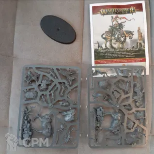 Описание картинки Freeguild Cavalier-Marshal от fillander по цене 6 000руб | Свободный Рынок Миниатюр - СРМ