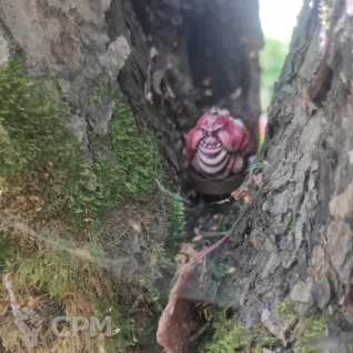 Описание картинки Толстый сквиг от Old curiosity shop по цене 400руб | Свободный Рынок Миниатюр - СРМ