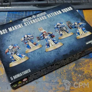 Описание картинки Space Marines: Sternguard Veteran Squad от Monger по цене 16 450руб | Свободный Рынок Миниатюр - СРМ