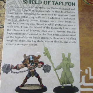 Описание картинки Wrath of Kings Specialist Box 1 Miniatures WOK03006 [Hammer of Heaven, Shield of Taelfon] от V130177@mail.ru по цене 1 300руб | Свободный Рынок Миниатюр - СРМ