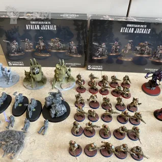 Описание картинки Армия Genestealer Cults (Распил) от Enthar по цене 95 000руб | Свободный Рынок Миниатюр - СРМ
