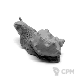 Описание картинки Гигантская пещерная улитка от Grabblecast по цене 525руб | Свободный Рынок Миниатюр - СРМ