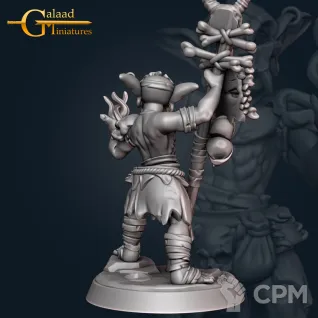 Описание картинки GoblinShaman от PocketSized Prints по цене 170руб | Свободный Рынок Миниатюр - СРМ