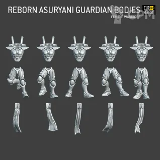 Описание картинки Reborn Asuryani Guardian Bodies Female Warriors от Cup of Heresy по цене 400руб | Свободный Рынок Миниатюр - СРМ