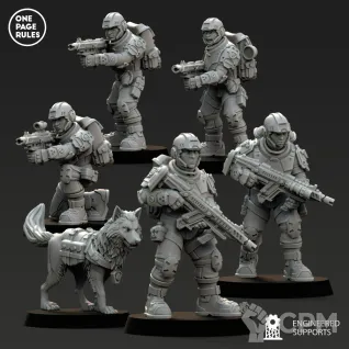 Описание картинки Cadian Shock Troops/Human Defence Force - Infantry OPR от Laboratory of Chaos по цене 350руб | Свободный Рынок Миниатюр - СРМ