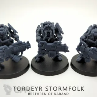 Описание картинки Tordeyr Stormfolk /Brokhyr Thunderkyn от Barduck Miniatures по цене 625руб | Свободный Рынок Миниатюр - СРМ
