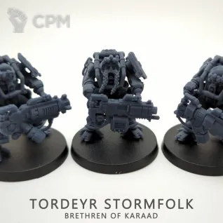 Описание картинки Tordeyr Stormfolk /Brokhyr Thunderkyn от Barduck Miniatures по цене 625руб | Свободный Рынок Миниатюр - СРМ
