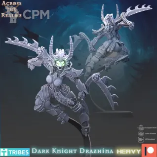 Описание картинки Dark Knight Drahzina от Manufactorum76 по цене 175руб | Свободный Рынок Миниатюр - СРМ