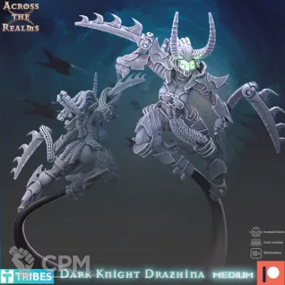 Описание картинки Dark Knight Drahzina от Manufactorum76 по цене 175руб | Свободный Рынок Миниатюр - СРМ