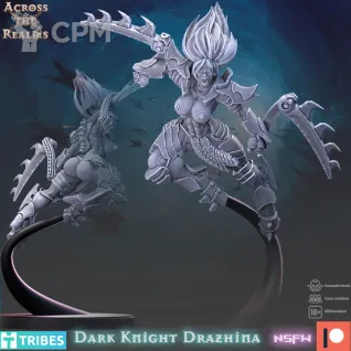 Описание картинки Dark Knight Drahzina от Manufactorum76 по цене 175руб | Свободный Рынок Миниатюр - СРМ