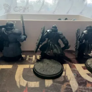 Описание картинки Буллгрины Имперской Гвардии/ Bullgryns АМ от ЛИЭНГОЛ по цене 900руб | Свободный Рынок Миниатюр - СРМ