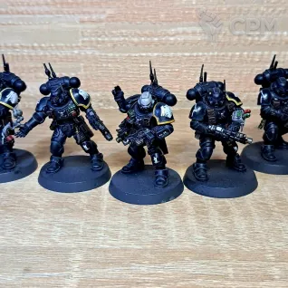 Описание картинки Raven Guard Vanguard Army от Oni Chase по цене 25 000руб | Свободный Рынок Миниатюр - СРМ