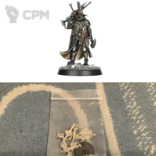 Описание картинки Cursed city Inquisitor от Svarden по цене 2 950руб | Свободный Рынок Миниатюр - СРМ