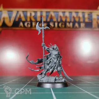 Описание картинки Cursed City Watch Captain Halgrim от Каджит по цене 1 798руб | Свободный Рынок Миниатюр - СРМ