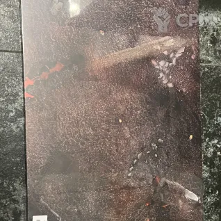 Описание картинки Warcry Red Harvest Board and tokens от Svarden по цене 3 500руб | Свободный Рынок Миниатюр - СРМ