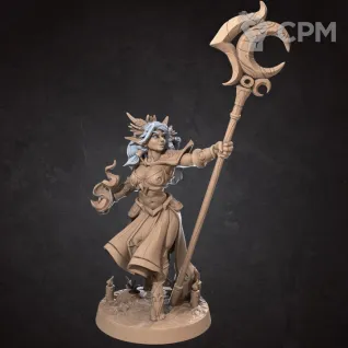 Описание картинки Лунная Эльфийка, Жрица (Moon Elf, Priest) от Gabrigame_Print по цене 330руб | Свободный Рынок Миниатюр - СРМ