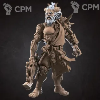 Описание картинки Дженази Воздуха, Друид (Genasi Air, Druid) от Gabrigame_Print по цене 330руб | Свободный Рынок Миниатюр - СРМ