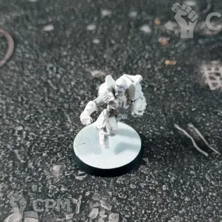 Описание картинки Blood Bowl Griff Oberwald Star Player от Каджит по цене 3 498руб | Свободный Рынок Миниатюр - СРМ
