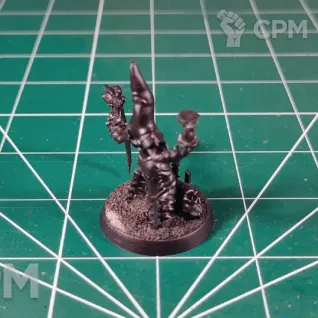 Описание картинки Chaos Sorcerer Lord от Каджит по цене 998руб | Свободный Рынок Миниатюр - СРМ